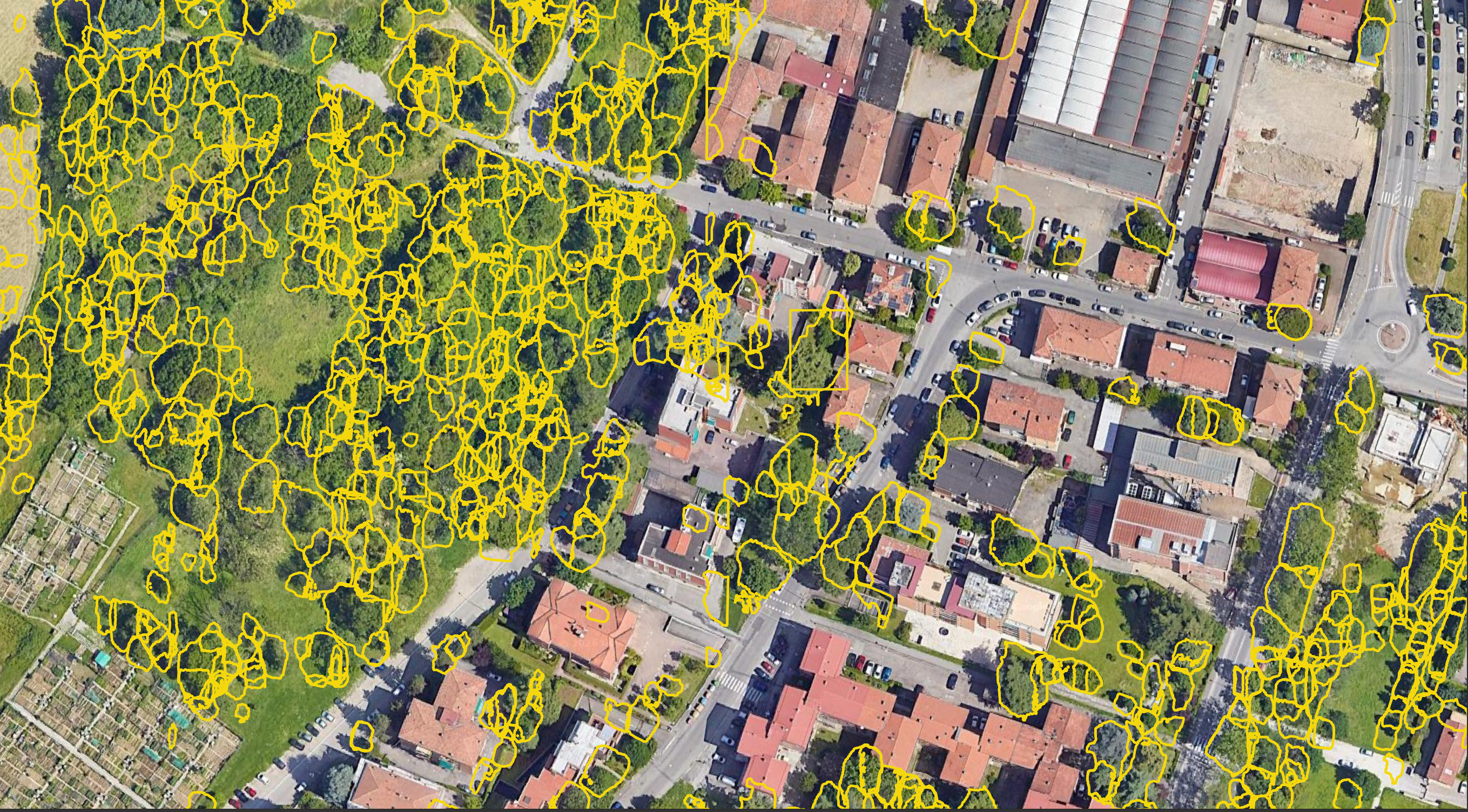 The same aerial image with yellow outlines tracing the irregular shape of each tree crown
